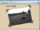 Orpha's Farm